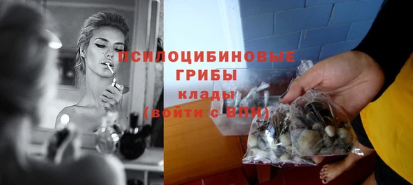 прущие грибы Щигры