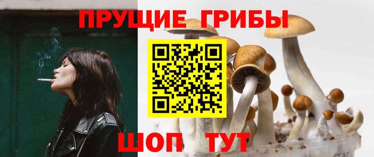 Благовещенск  Псилоцибиновые грибы Cubensis  Вход с VPN 