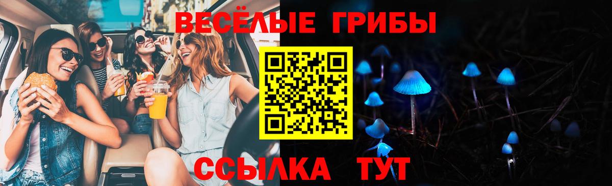 Псилоцибиновые грибы мицелий Благовещенск