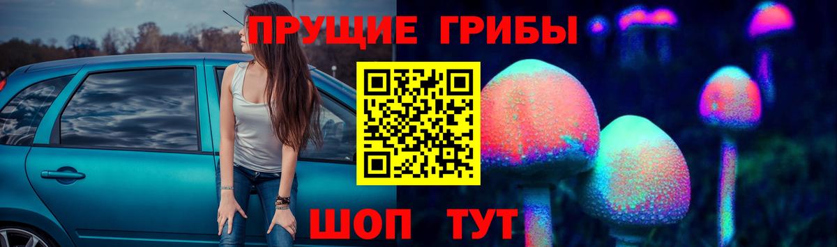 Псилоцибиновые грибы Cubensis Благовещенск