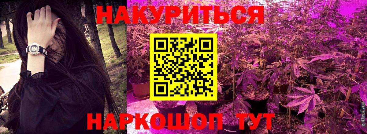 Шишки марихуана план  Конопля семена  Конопля SATIVA & INDICA  Канабис сатива  Благовещенск 